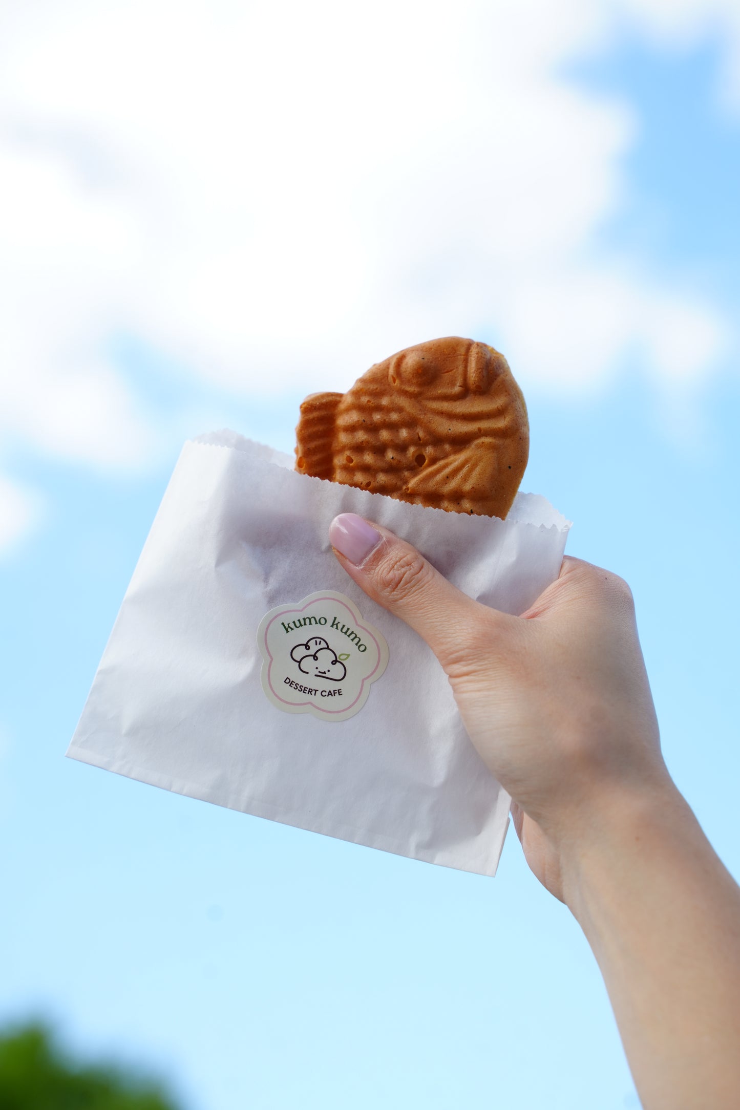 Bubble Waffle & Taiyaki Mix