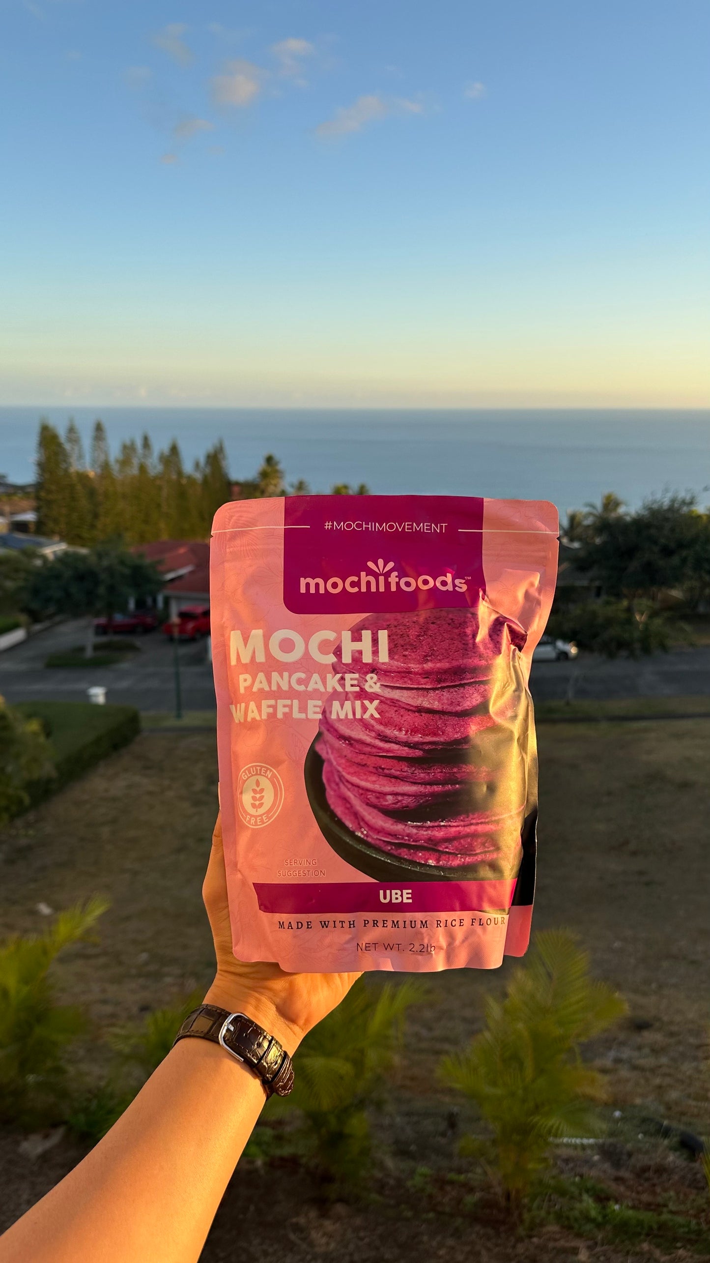Mezcla para panqueques Mochi sin gluten Ube
