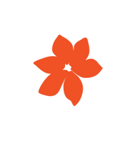 Woman owned business